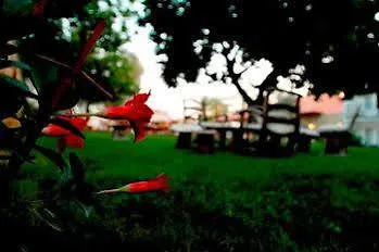 The Grand Ucel Oludeniz