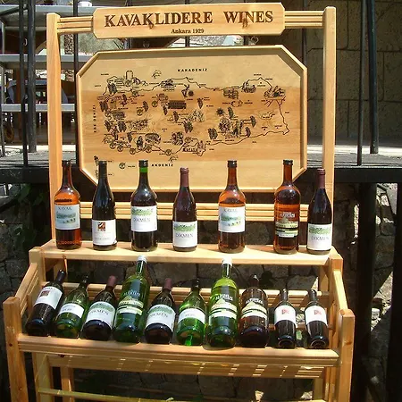 מלון The Grand Ucel אולודניץ